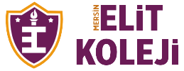 Elit Eğitim Kurumları